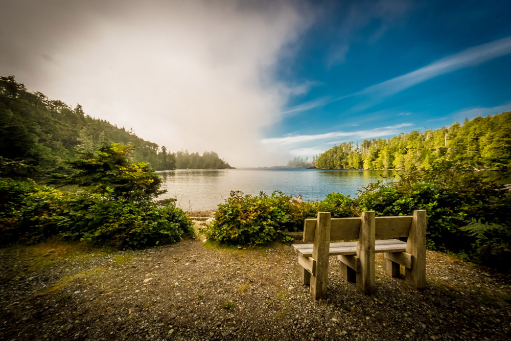 Acupuncture and Laser Therapy in Vancouver